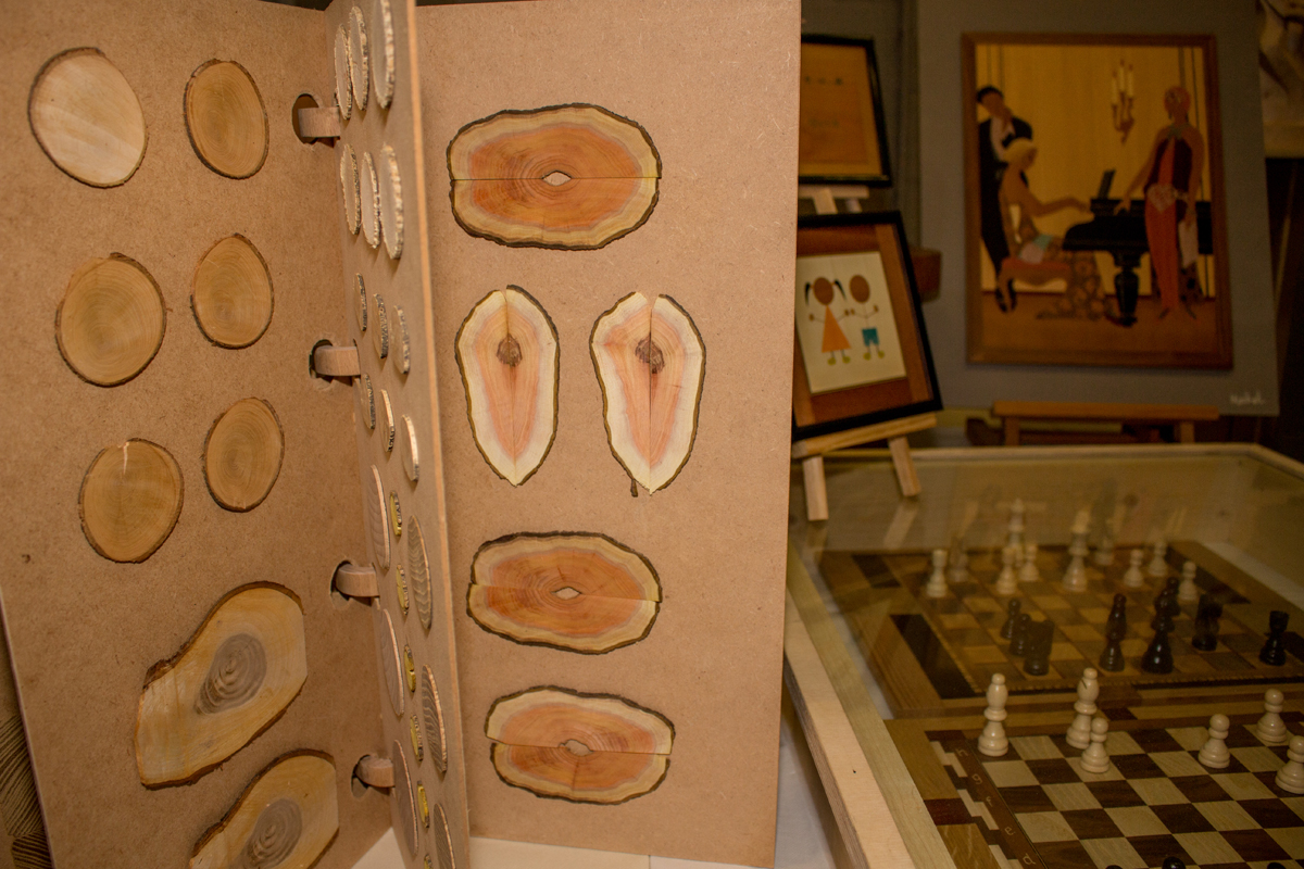 Tentoonstelling Timmerveld